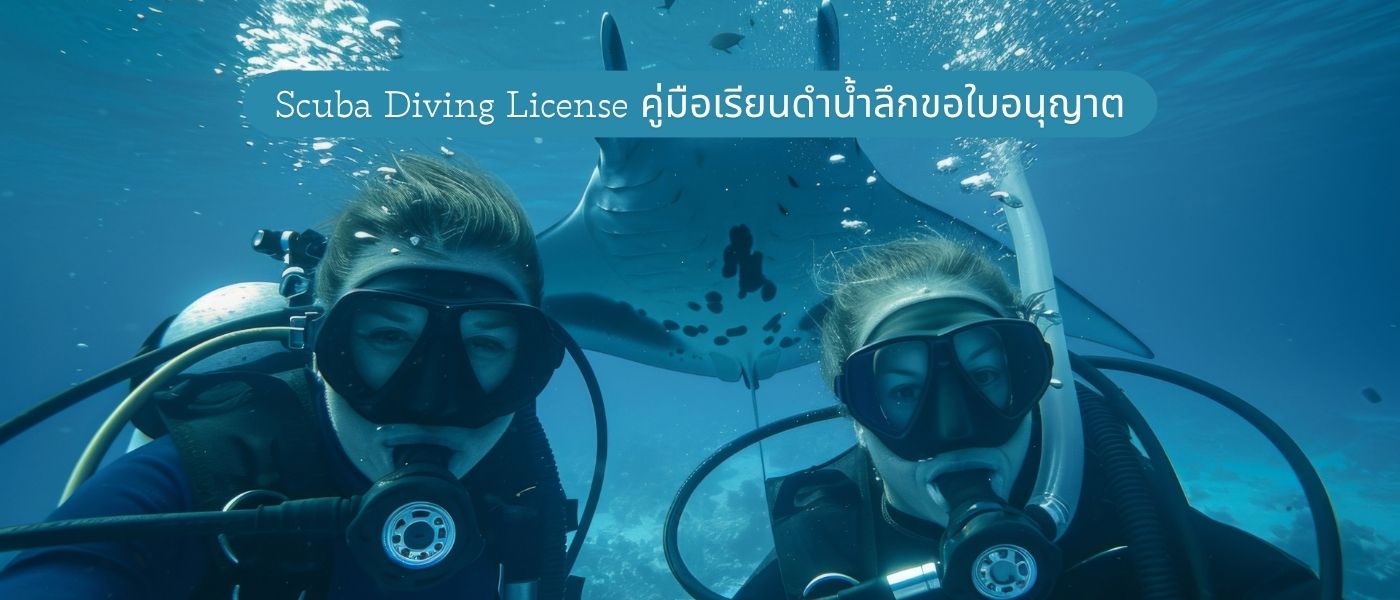 Scuba Diving License คู่มือเรียนดำน้ำลึกขอใบอนุญาต